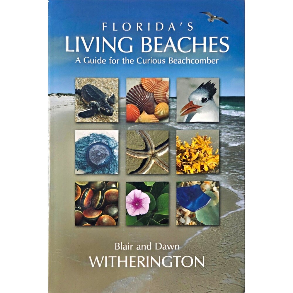 Pineapple Press Florida's Living Beaches Guide Blair & Dawn Witherington 2007 PB